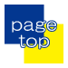 PAGE TOP